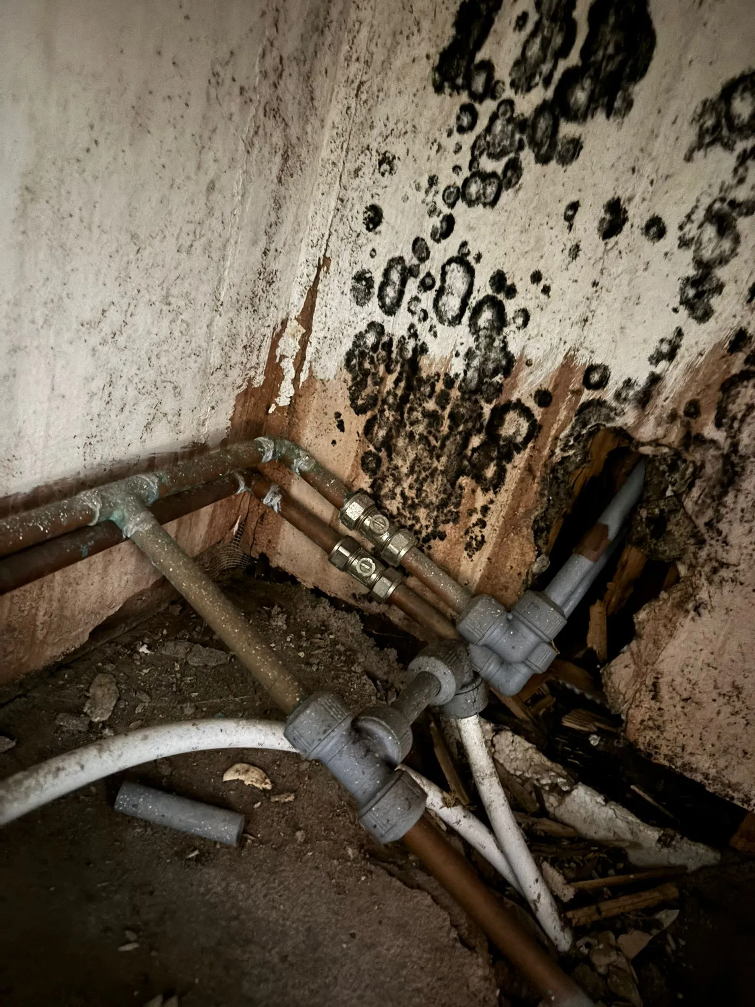 hidden leak identification