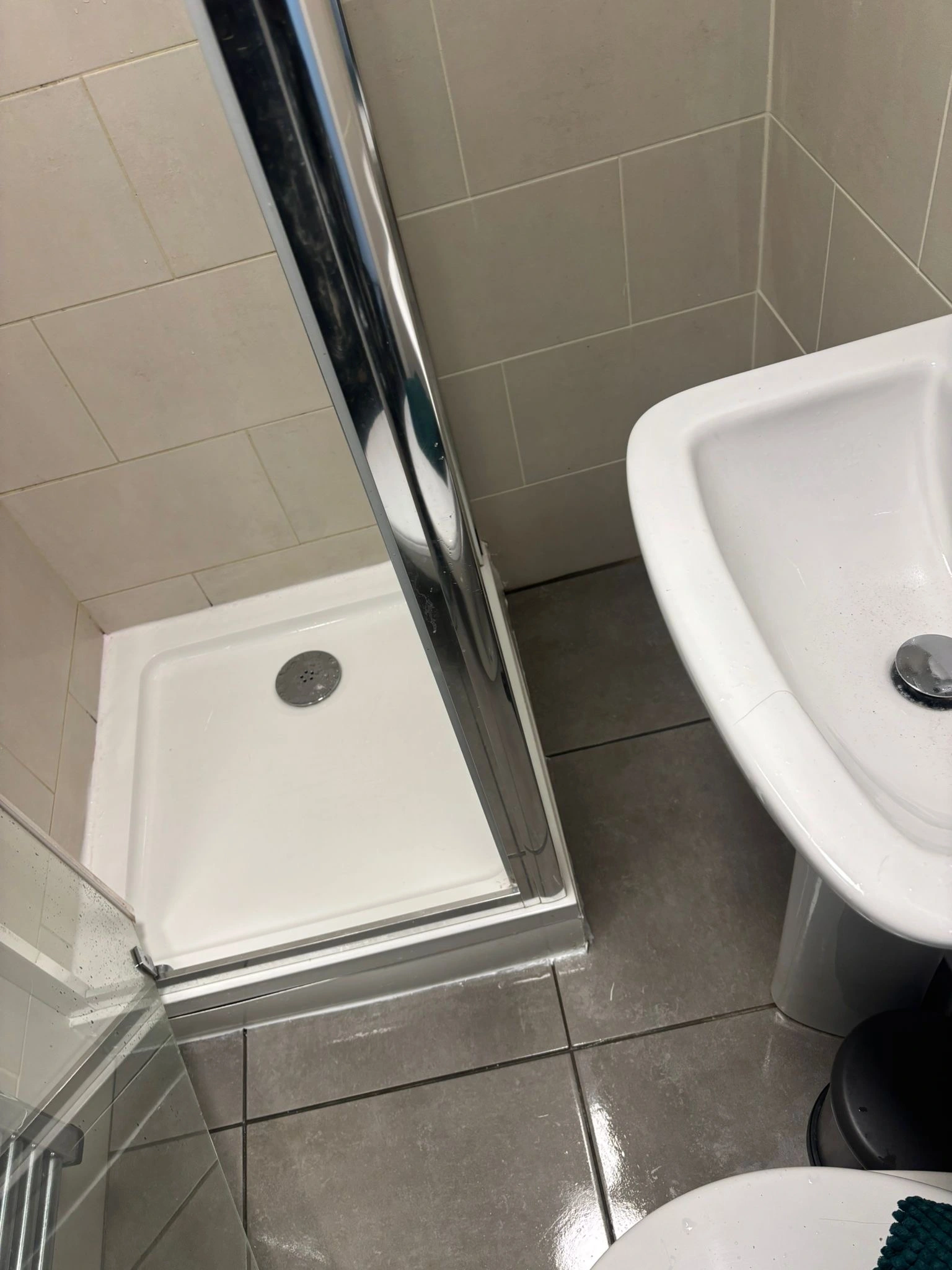 toilet and shower